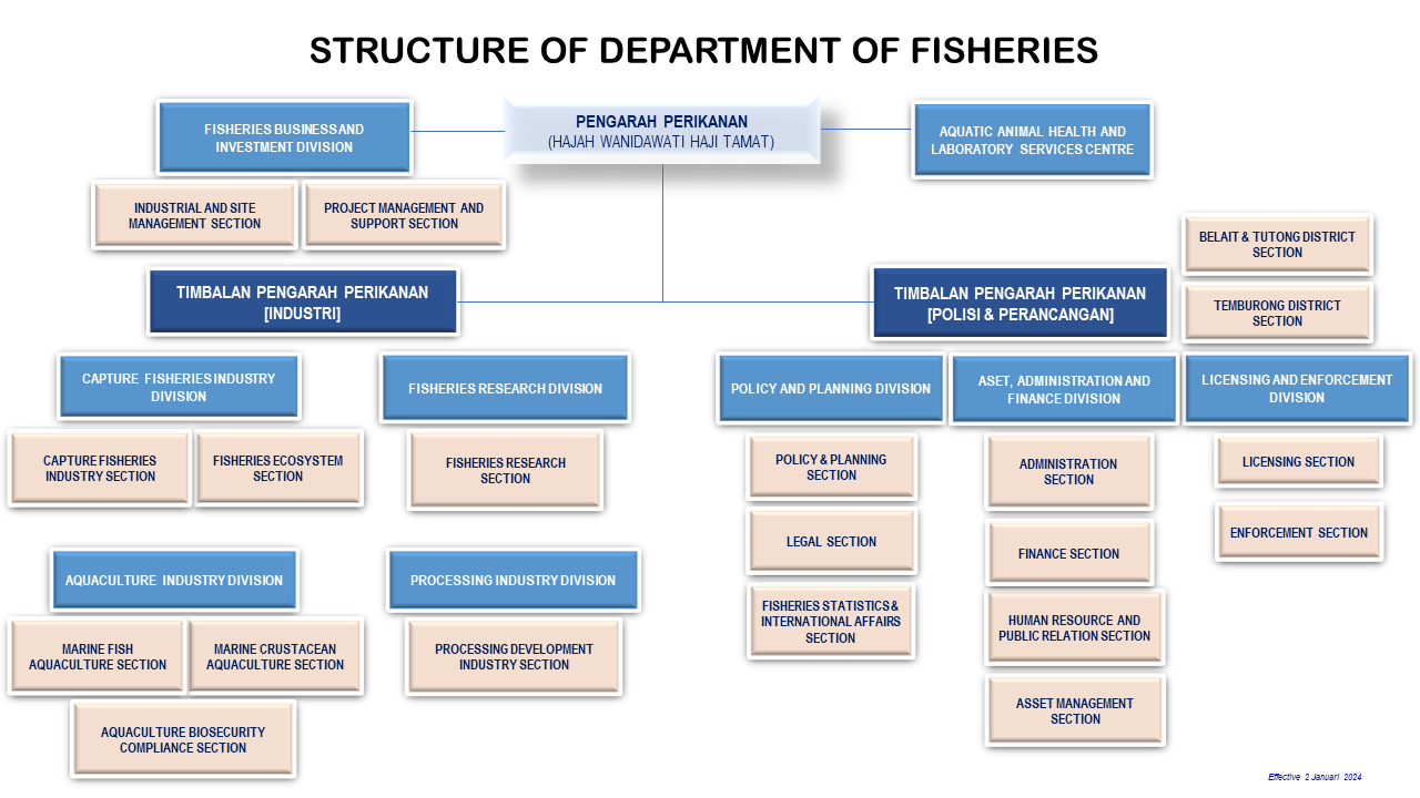 ADF struktur organisasi Jabatan Perikanan 2024 JPEG.png