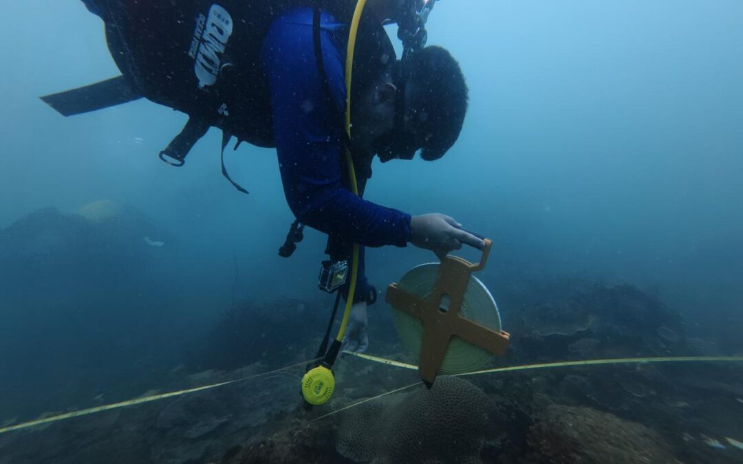 CORAL REEF MONITORING TRAINING & FIELD SURVEY