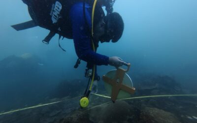 CORAL REEF MONITORING TRAINING & FIELD SURVEY
