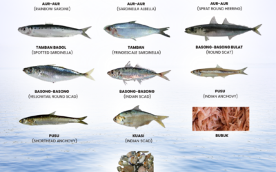 JENIS-JENIS IKAN YANG DITEGAH DARI PENJUALAN & DILARANG UNTUK DIMAKAN SEMASA KEJADIAN AIR KEMERAH-MERAHAN